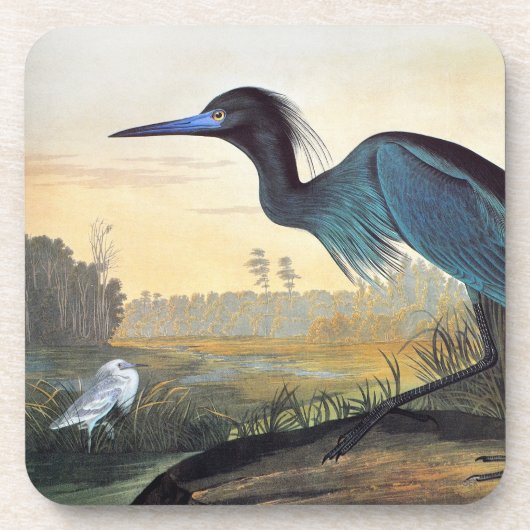 Audubon: Little Blue Heron Bier Onderzetter (Voorkant)