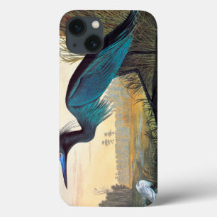 Audubon: Little Blue Heron iPhone 13 Hoesje