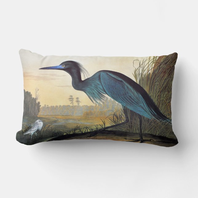 Audubon: Little Blue Heron Kussen (Voorkant)