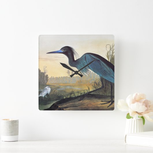 Audubon: Little Blue Heron Vierkante Klok (Huis)