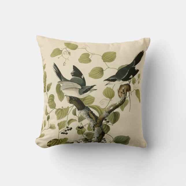  Audubon Loggerhead Shrike Painting Gift Kussen (Voorkant)