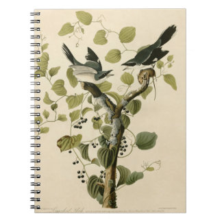 Audubon Loggerhead Shrike Painting Gift Notitieboek