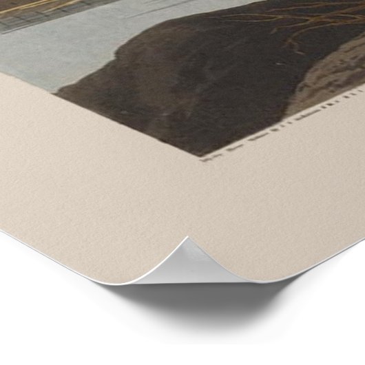 Audubon Long-Billing Curlew Sandpiper Bird Poster (Hoek)