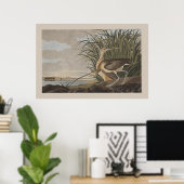 Audubon Long-Billing Curlew Sandpiper Bird Poster (Thuiskantoor)