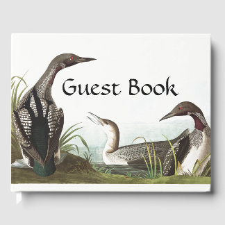 Audubon Loon Diver Birds Wildlife Gastboek Gastenboek