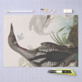 Audubon Loons Heron Birds Wildlife Weefpapier Tissuepapier (Craft)