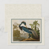Audubon  Louisiana Blue Heron Briefkaart (Voorkant / Achterkant)