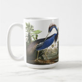 Audubon Louisiana Heron Bird Wildlife Animals Mok (Links)