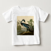 Audubon Louisiana Heron Birds America Art (Voorkant)