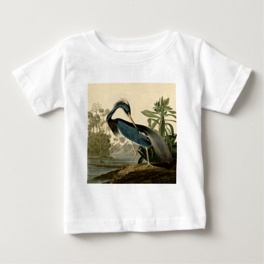 Audubon Louisiana Heron Birds America Art (Voorkant)