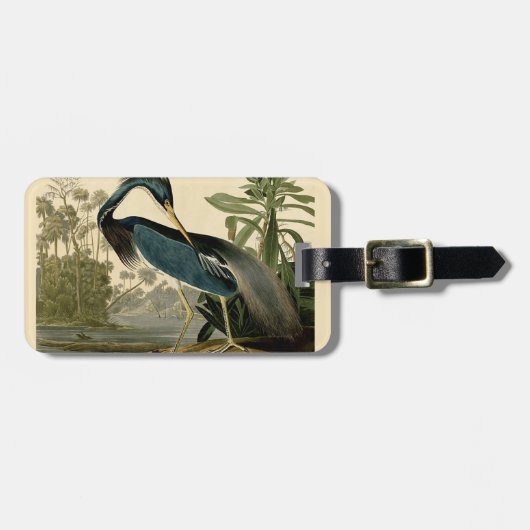Audubon Louisiana Heron Birds America Art Bagagelabel (Voorkant horizontaal)