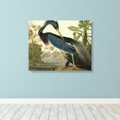 Audubon Louisiana Heron Birds America Art Canvas Afdruk (Insitu (Houten vloer))