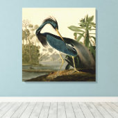 Audubon Louisiana Heron Birds America Art Canvas Afdruk (Insitu (Houten vloer))