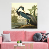 Audubon Louisiana Heron Birds America Art Canvas Afdruk (Insitu (Woonkamer))