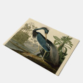 Audubon Louisiana Heron Birds America Art Deurmat (Schuin)