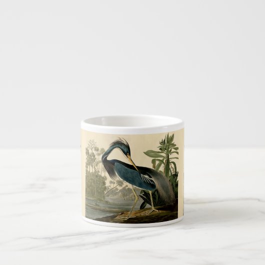 Audubon Louisiana Heron Birds America Art Espresso Kop (Voorkant)