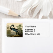 Audubon Louisiana Heron Birds America Art Etiket (Insitu)