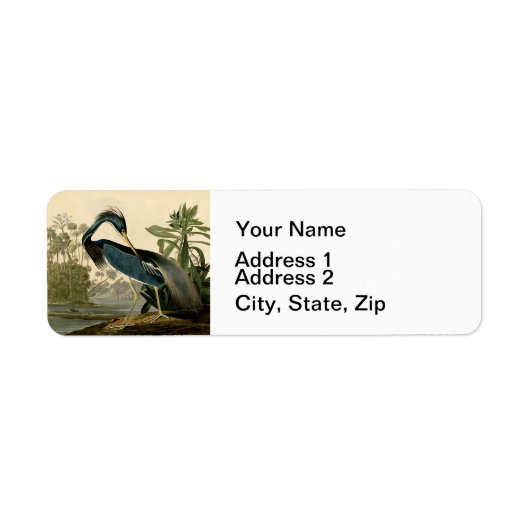 Audubon Louisiana Heron Birds America Art Etiket (Voorkant)
