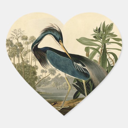 Audubon Louisiana Heron Birds America Art Hart Sticker (Voorkant)