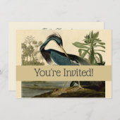 Audubon Louisiana Heron Birds America Art Kaart (Voorkant / Achterkant)