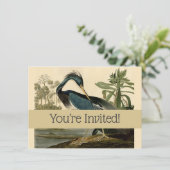 Audubon Louisiana Heron Birds America Art Kaart (Staand voorkant)