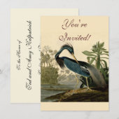 Audubon Louisiana Heron Birds America Art Kaart (Voorkant / Achterkant)