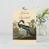 Audubon Louisiana Heron Birds America Art Kaart (Staand voorkant)