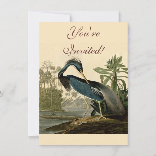 Audubon Louisiana Heron Birds America Art Kaart (Voorkant)