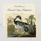 Audubon Louisiana Heron Birds America Art Kaart (Voorkant / Achterkant)