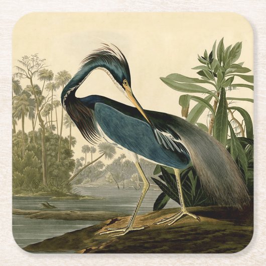 Audubon Louisiana Heron Birds America Art Kartonnen Onderzetters (Voorkant)