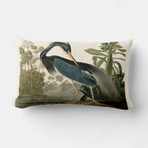 Audubon Louisiana Heron Birds America Art Kussen