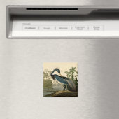 Audubon Louisiana Heron Birds America Art Magneet (Insitu (Vaatwasser))