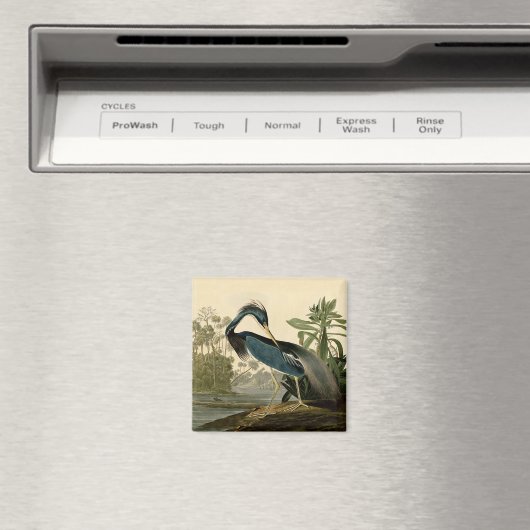 Audubon Louisiana Heron Birds America Art Magneet (Insitu (Vaatwasser))