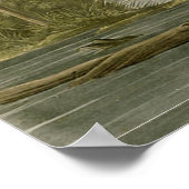 Audubon Louisiana Heron Birds America Art Poster (Hoek)