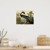 Audubon Louisiana Heron Birds America Art Poster (Keuken)