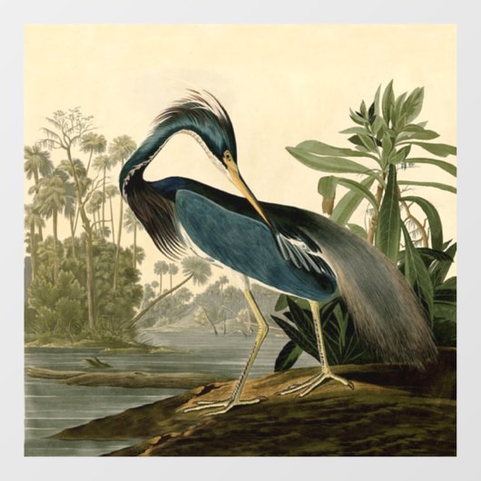 Audubon Louisiana Heron Birds America Art Raamsticker (Vel)