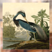 Audubon Louisiana Heron Birds America Art Raamsticker (Vel 2)