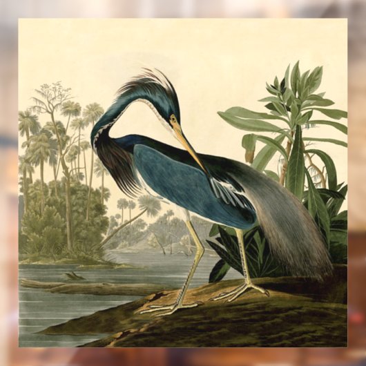 Audubon Louisiana Heron Birds America Art Raamsticker (Vel 2)