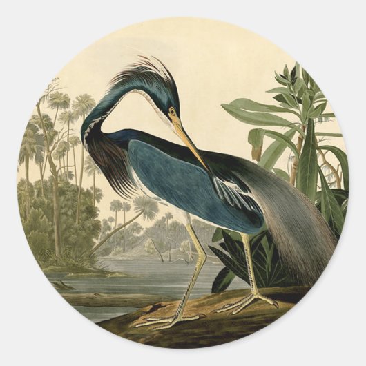 Audubon Louisiana Heron Birds America Art Ronde Sticker (Voorkant)