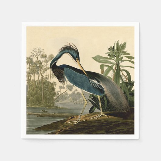 Audubon Louisiana Heron Birds America Art Servet (Voorkant)