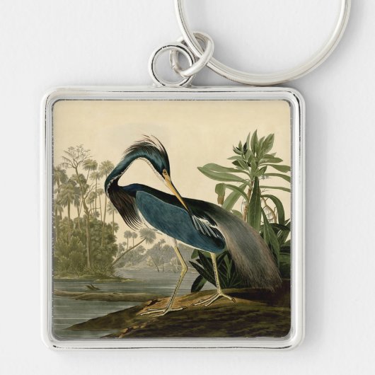 Audubon Louisiana Heron Birds America Art Sleutelhanger (Voorkant)
