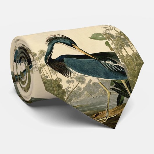 Audubon Louisiana Heron Birds America Art Stropdas (Opgerold)