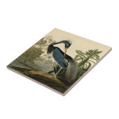 Audubon Louisiana Heron Birds America Art Tegeltje (Zijkant)