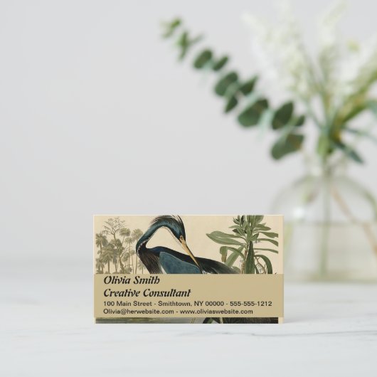 Audubon Louisiana Heron Birds America Art Visitekaartje (Staand voorkant)