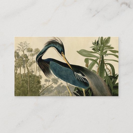 Audubon Louisiana Heron Birds America Art Visitekaartje (Achterkant)