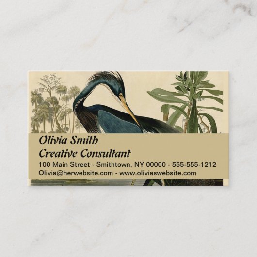 Audubon Louisiana Heron Birds America Art Visitekaartje (Voorkant)