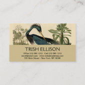 Audubon Louisiana Heron Birds America Art Visitekaartje (Achterkant)