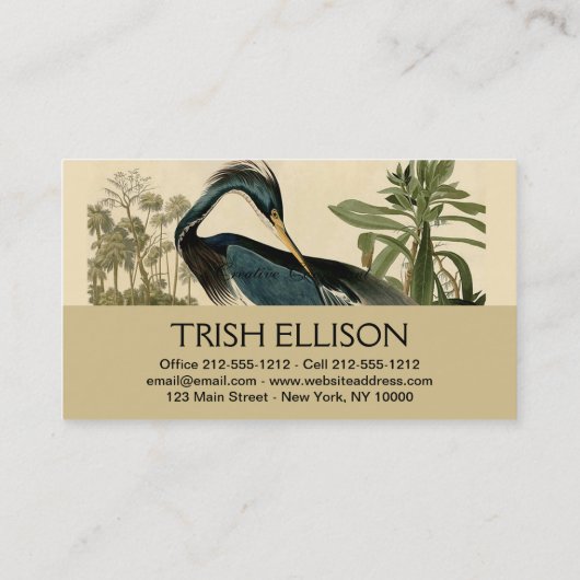 Audubon Louisiana Heron Birds America Art Visitekaartje (Achterkant)