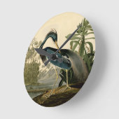 Audubon Louisiana Heron Ronde Klok (Hoek)