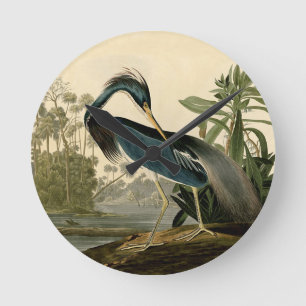 Audubon Louisiana Heron Ronde Klok